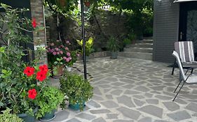 Apartment Lui